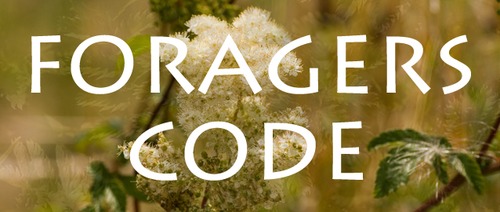 The Foragers Code