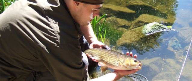 Fishing  The Bare Essentials