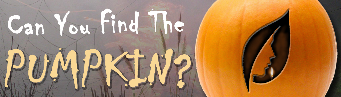Can you Find the Hidden Pumpkin?
