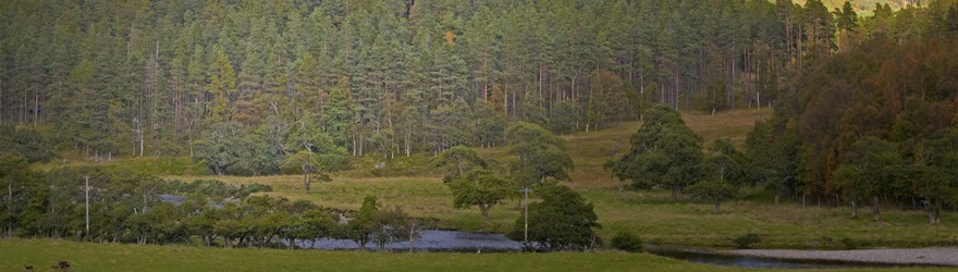 The Bushcraft Challenge  Survive from the Land for One Year