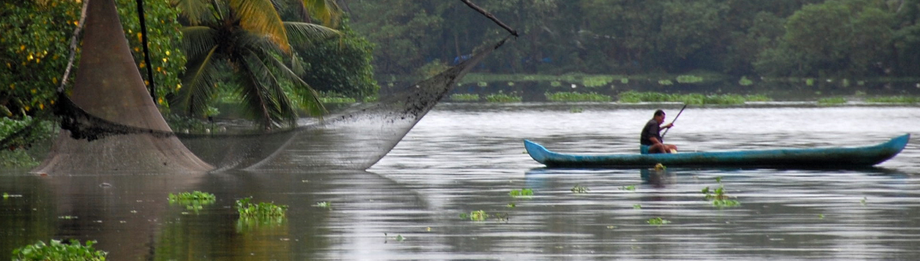 Bushcrafting in a Canoe - And the Top 5 Wild Foods to Be Foraged from the River Bank