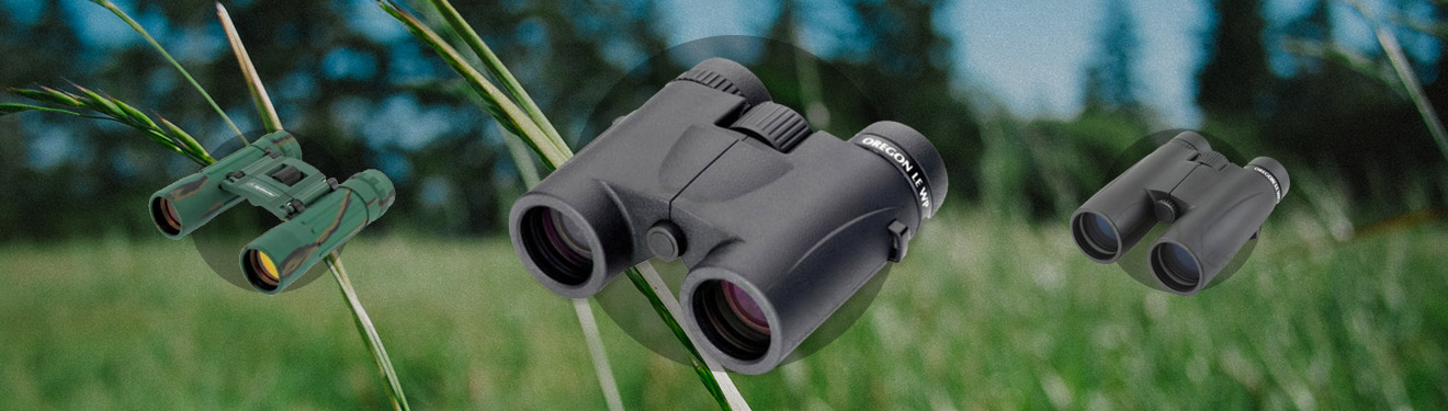 How to Choose the Correct Binoculars