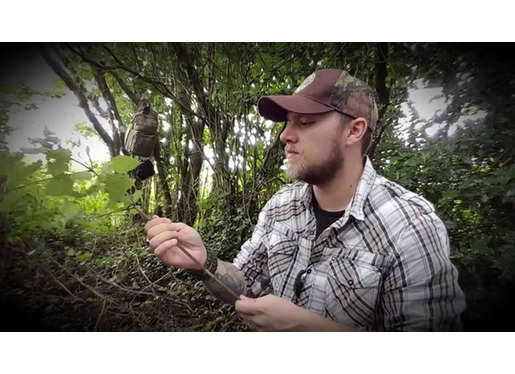 Striping the stalks of leaves and stingers