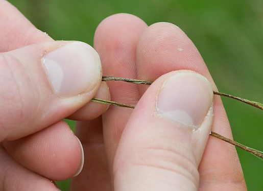 Guide To Making Nettle String