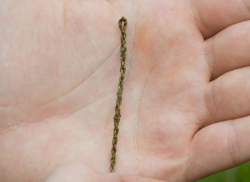 Extra Thick Nettle String