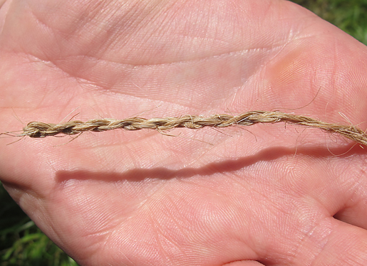 String Made From Wild Animal Fur