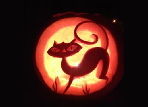 Pumpkin by Stephanie